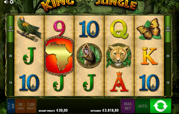 bally wulff paypal casino king of the jungle übersicht